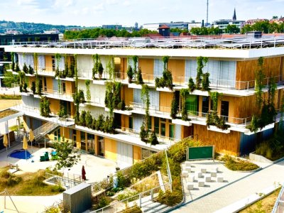 Fassadengrün