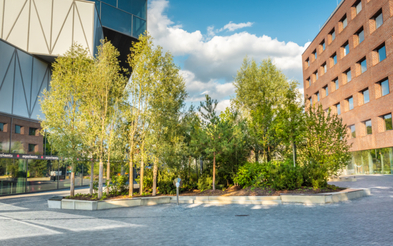 Stadtoase Experimenta-Platz, Heilbronn