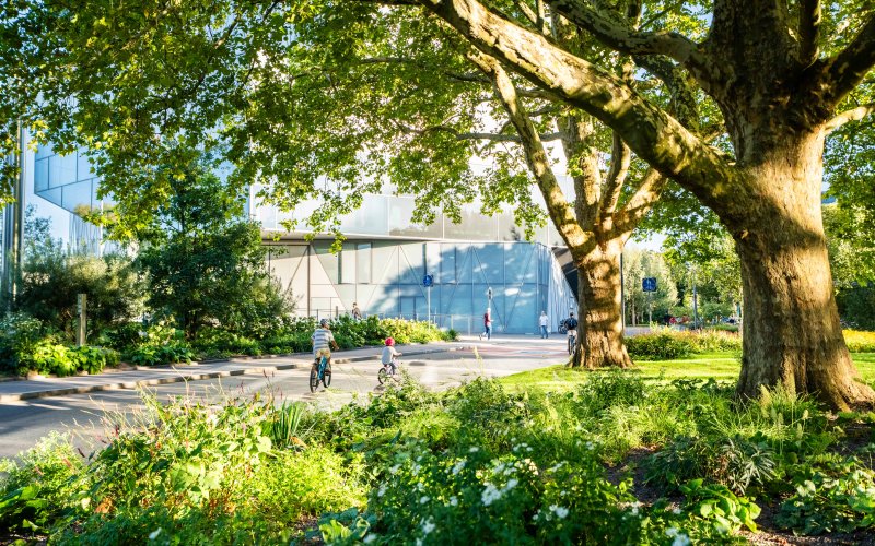 Pflanzkonzept Kraneninsel 4