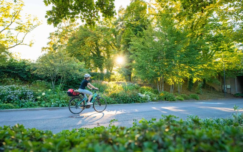 Pflanzkonzept Kraneninsel 5