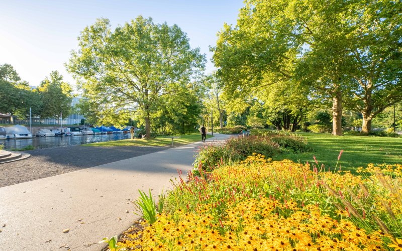 Pflanzkonzept Kraneninsel 2