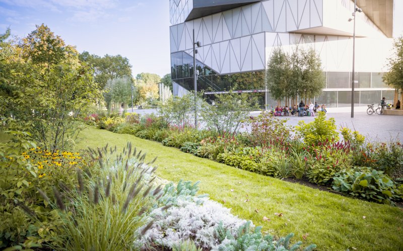 Pflanzkonzept Kraneninsel 1