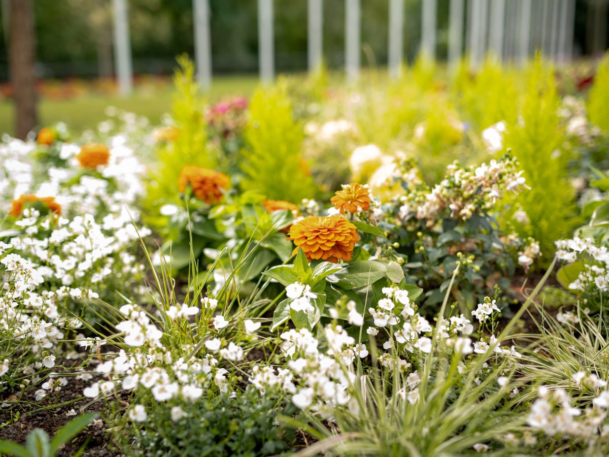 Pflanz- und Pflegekonzepte