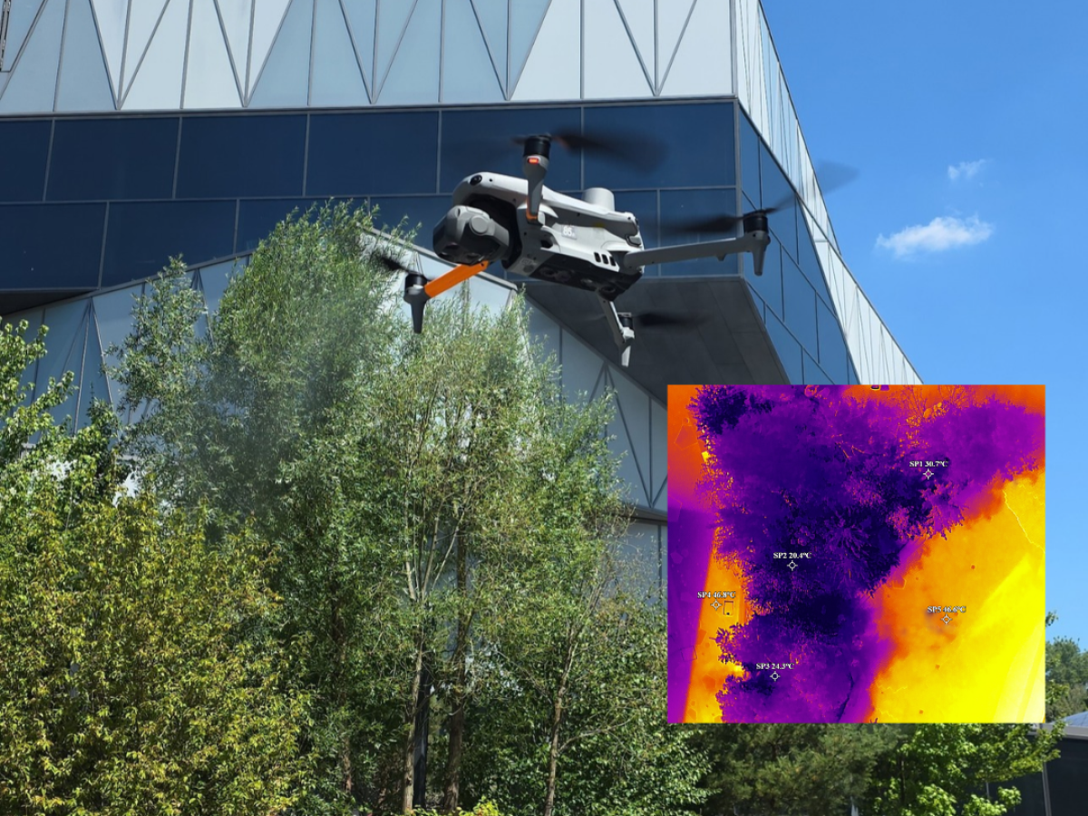 Thermalbefliegung