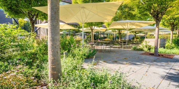 Campus Garden