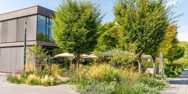 Campus Garden