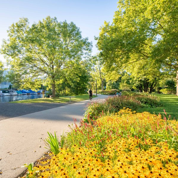 Pflanzkonzept Kraneninsel 2